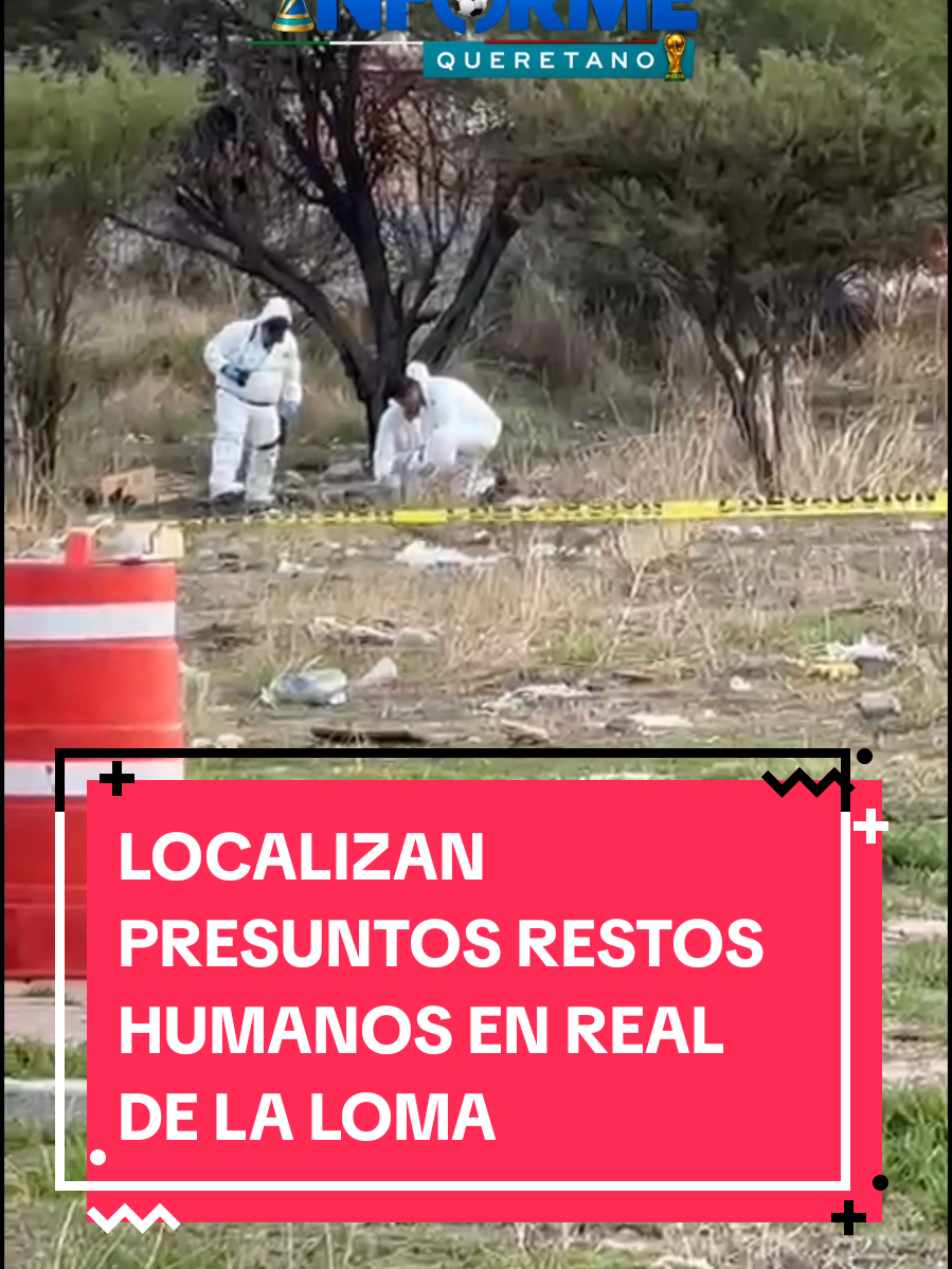@informequeretano