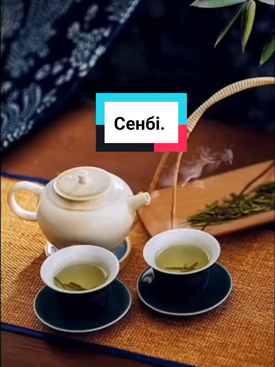 @Токай Бибигул