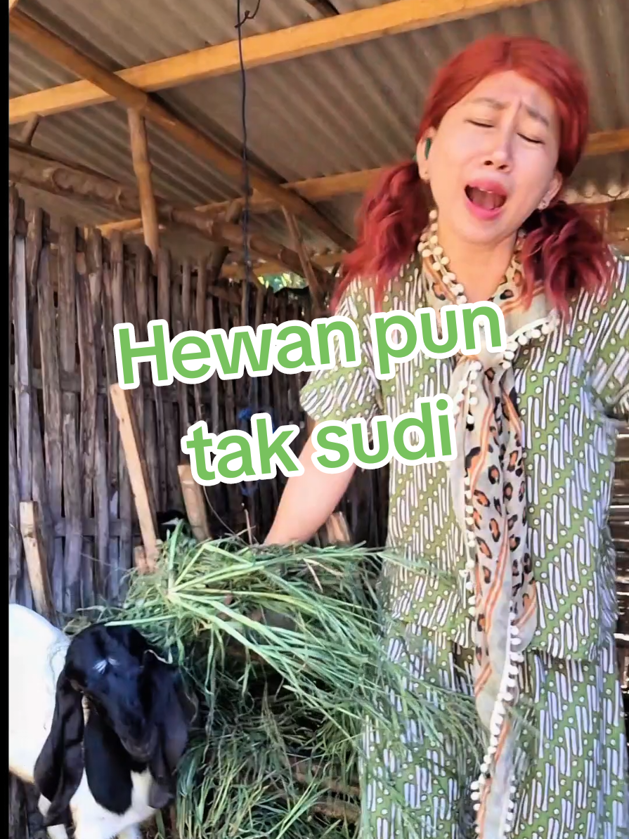 @Astin💚gingsol