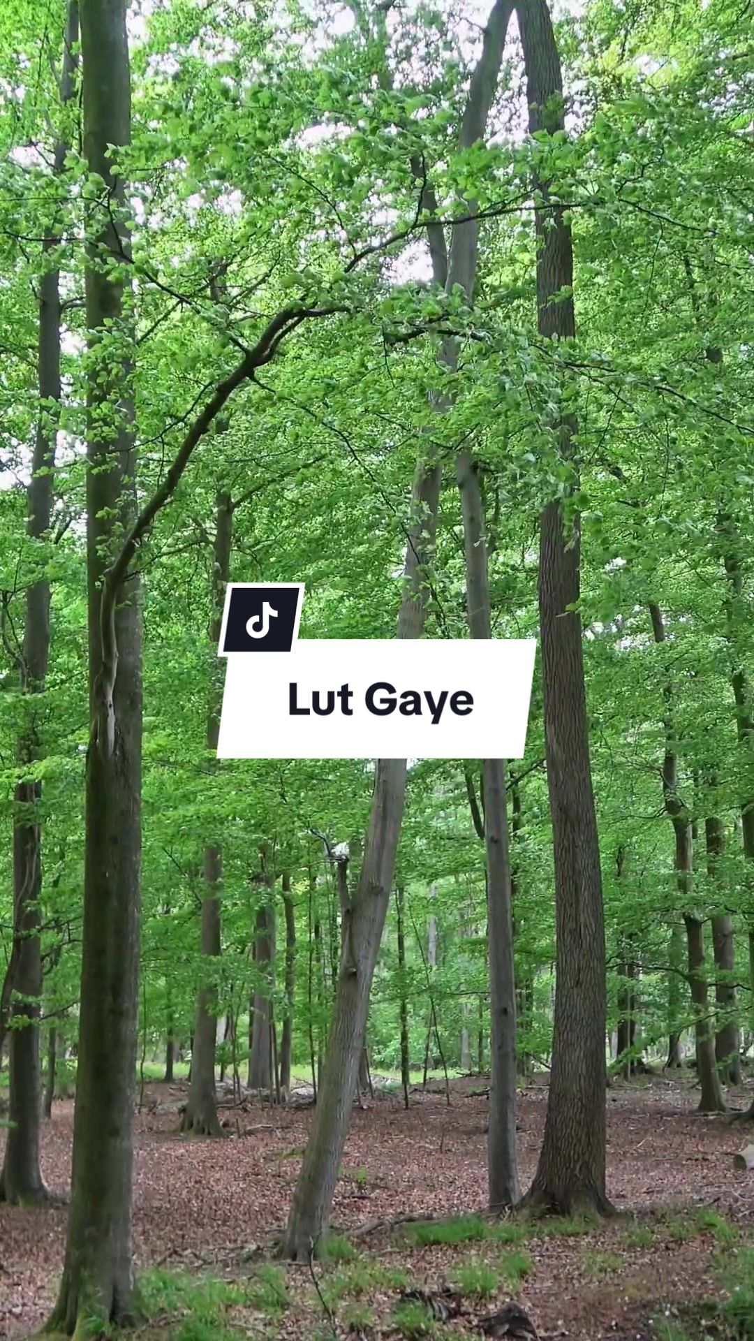 @loopworthy