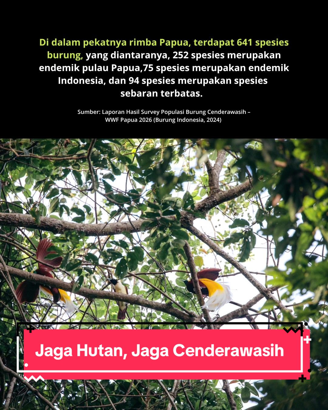 @Info Kejadian Jayapura | IKKJ