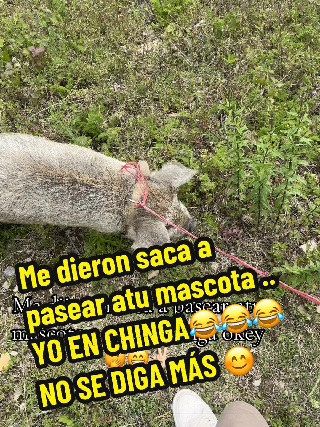 @NATY💋