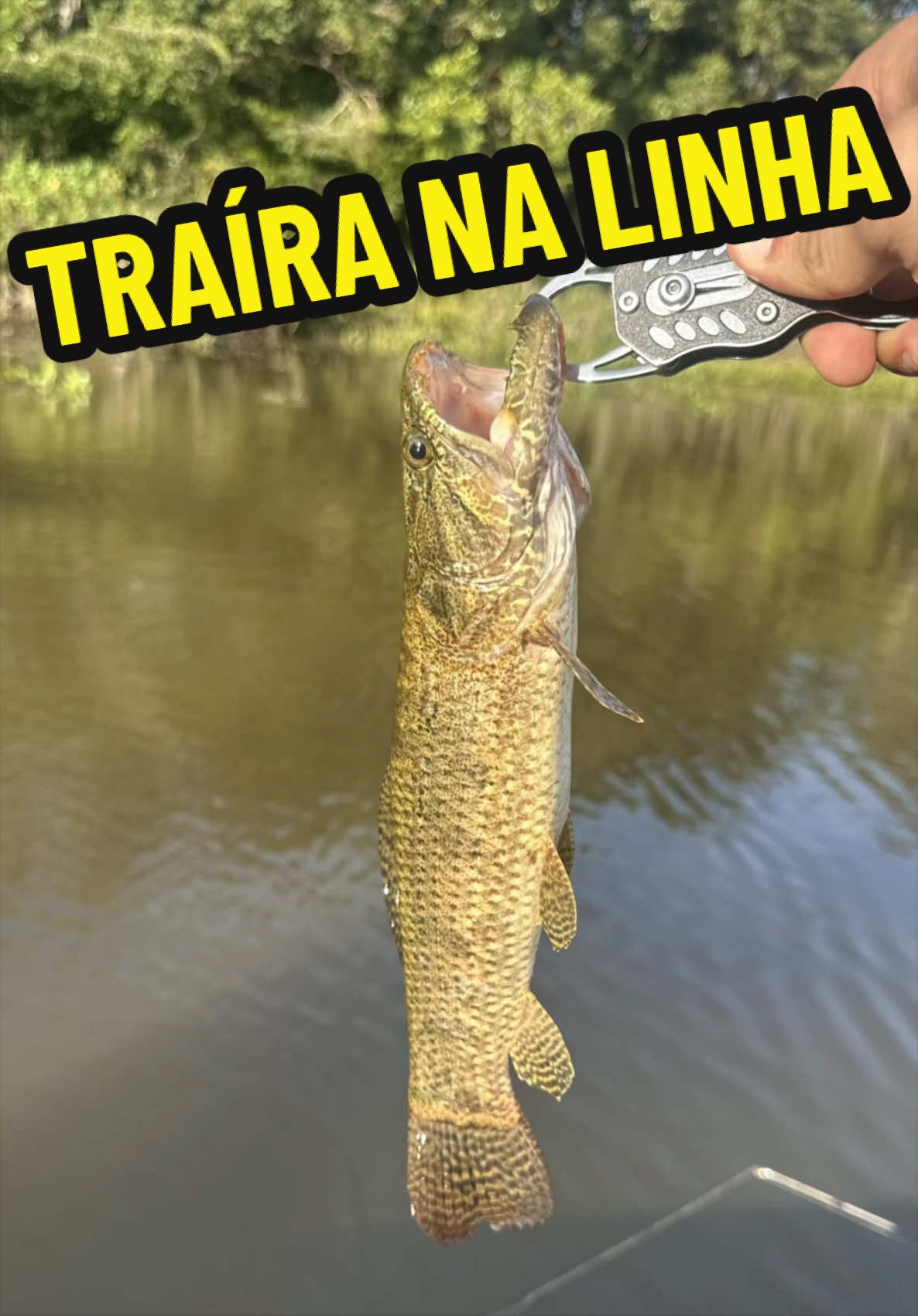 @Bideu Fishing