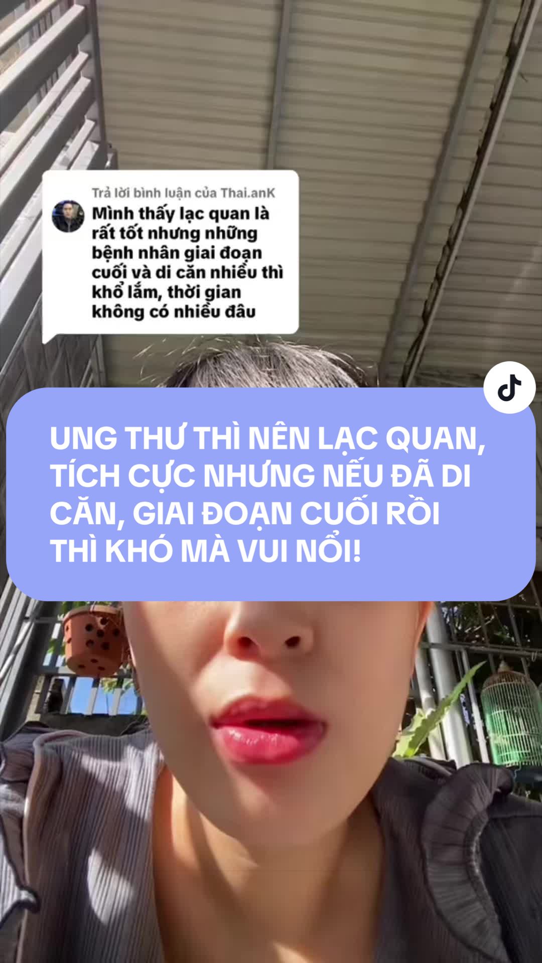 @trinhwin196