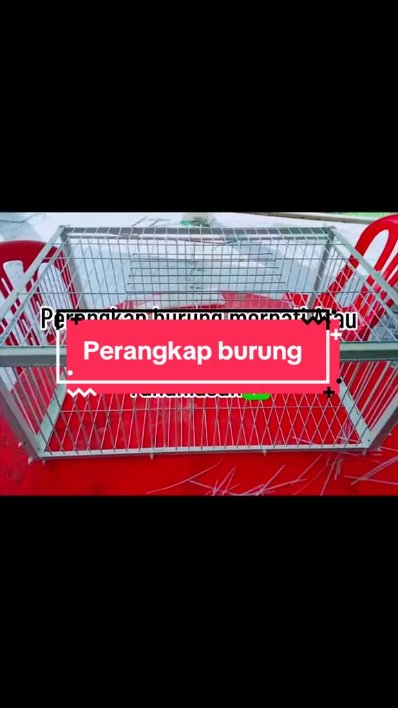 @RabiatulAdawiyah