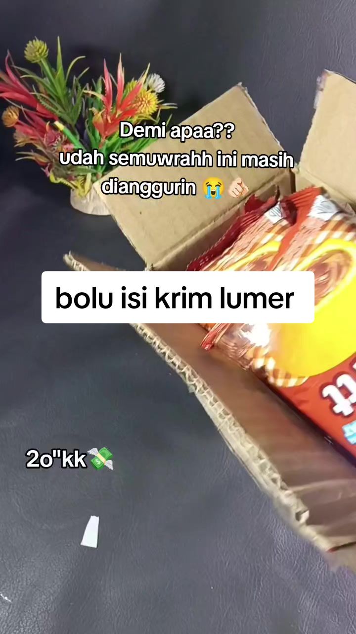 @zellaycel02