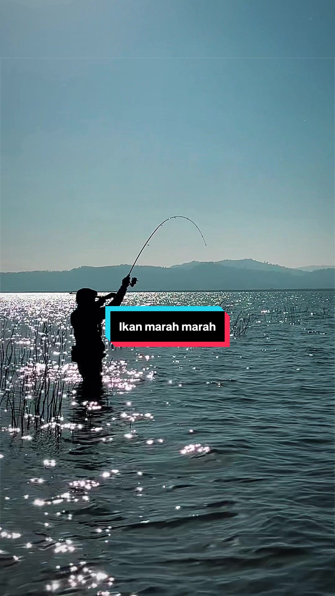 @unclemancing