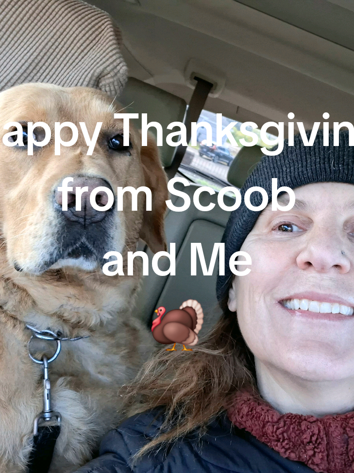 @Dogmom