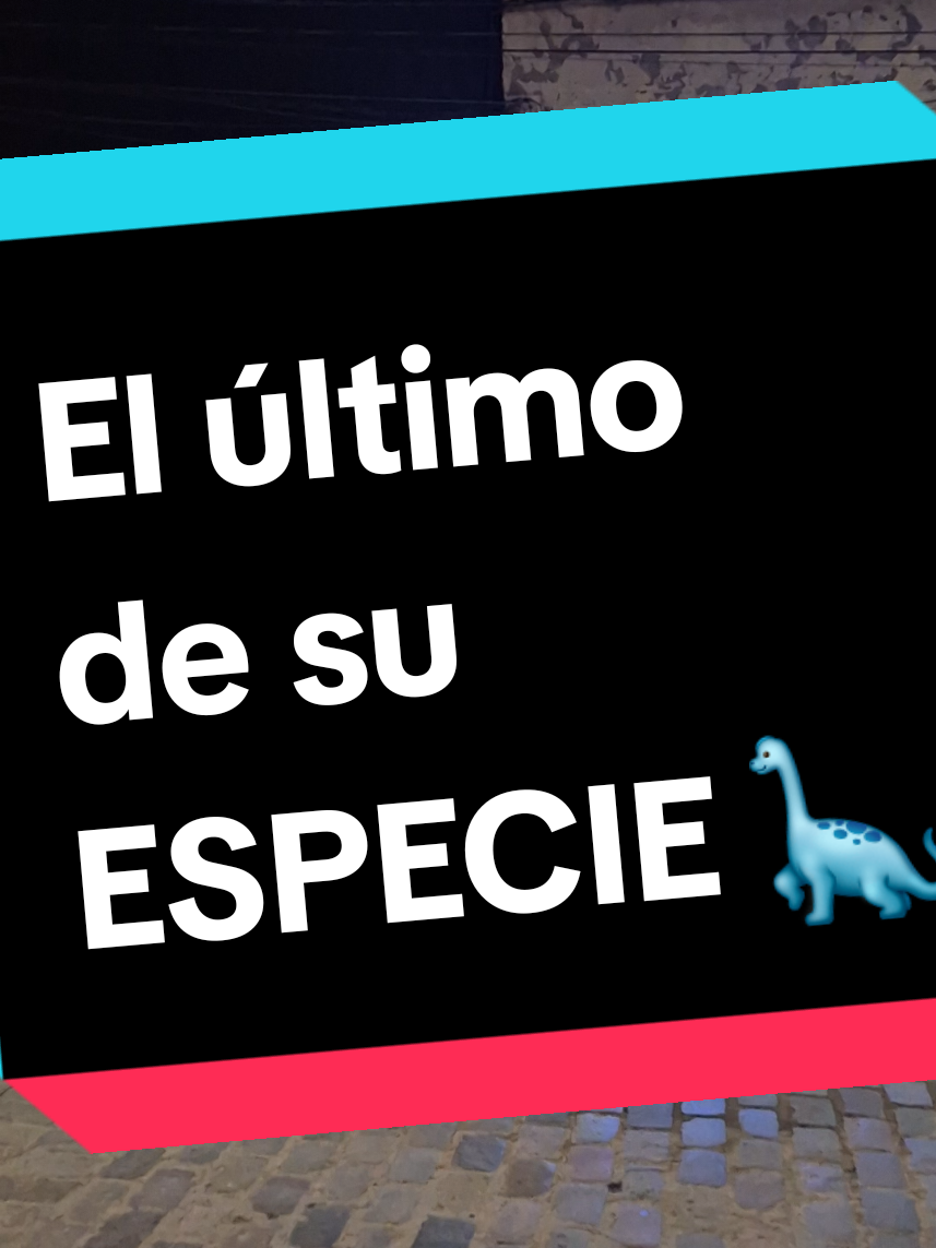 @Virrey Mágico