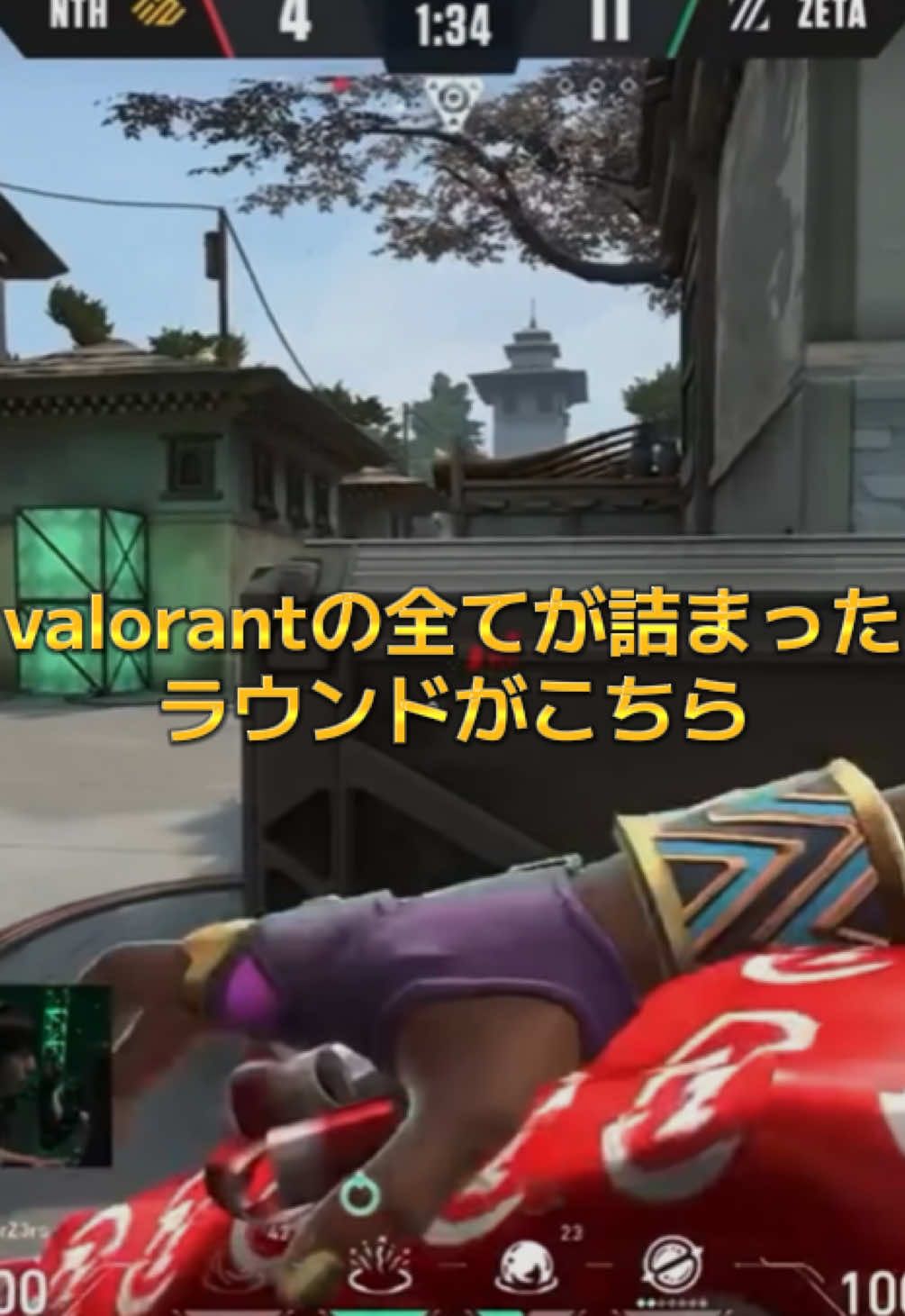 @valoプロクリップ