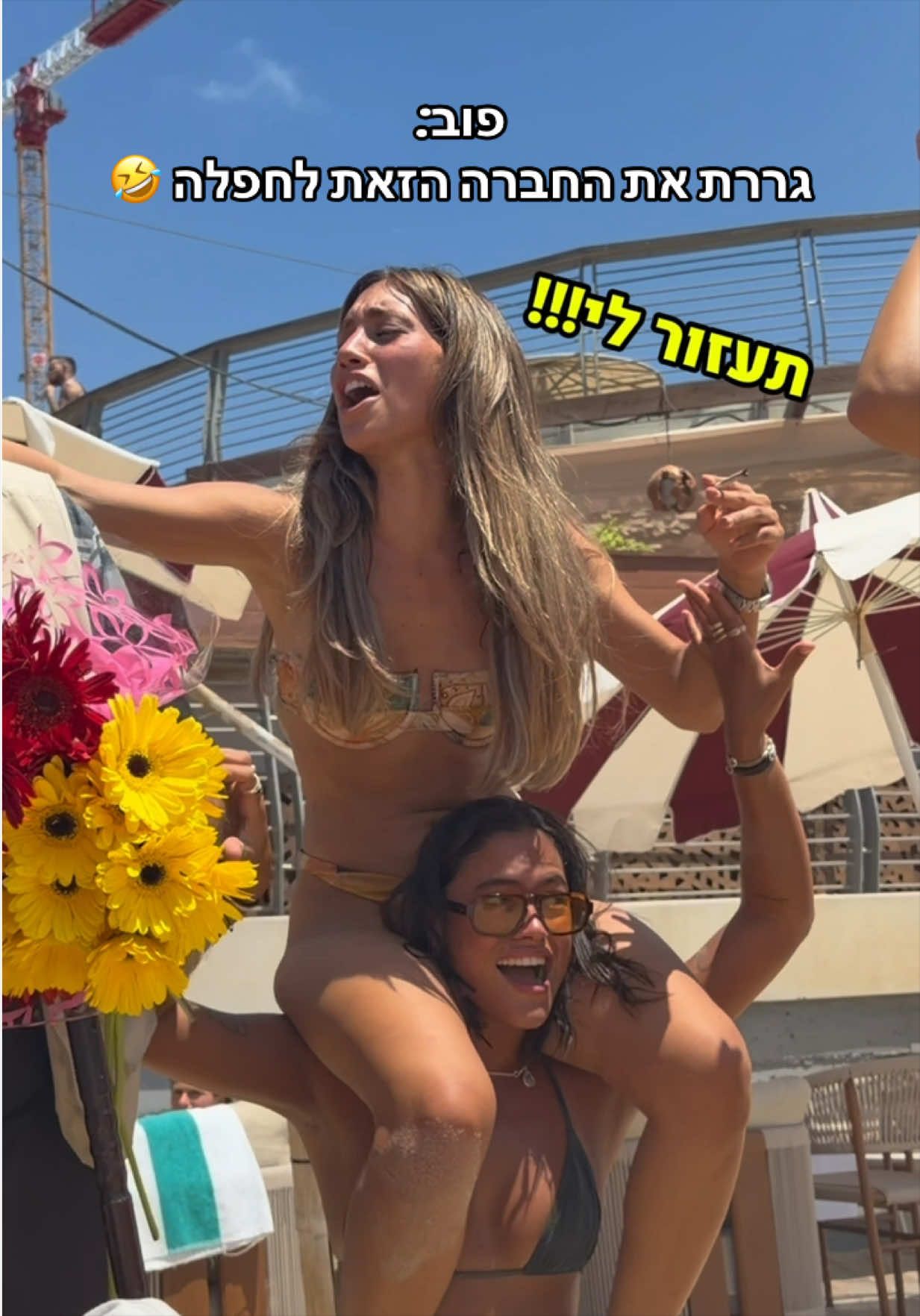@Tal Tito