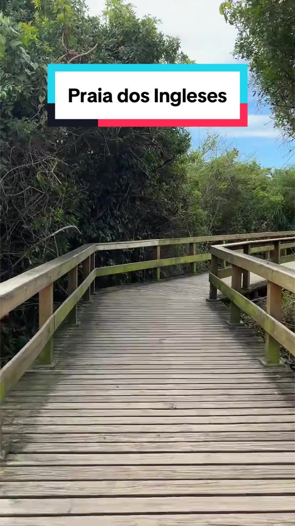 @Tiago Gerônimo☀️
