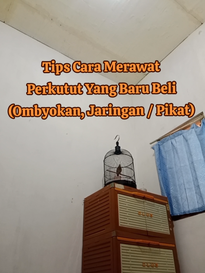 @Bintang Kecil