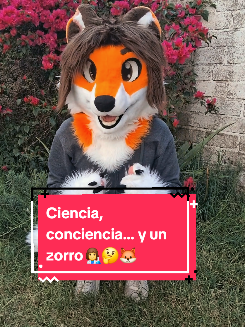 @Becobeza
