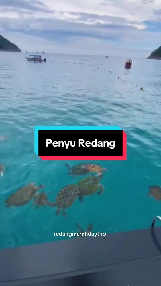 @raapakejpulauganu🤿