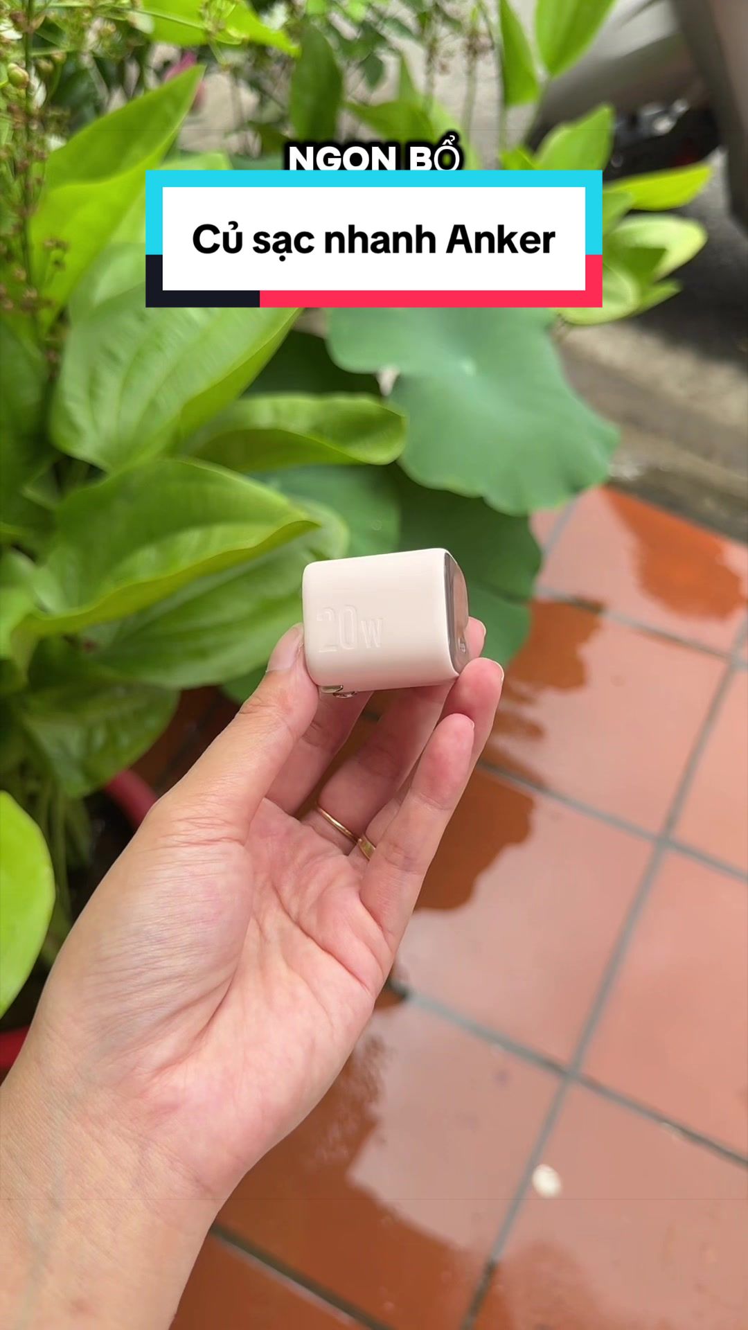 @Tuấn B&igrave;nh Thường