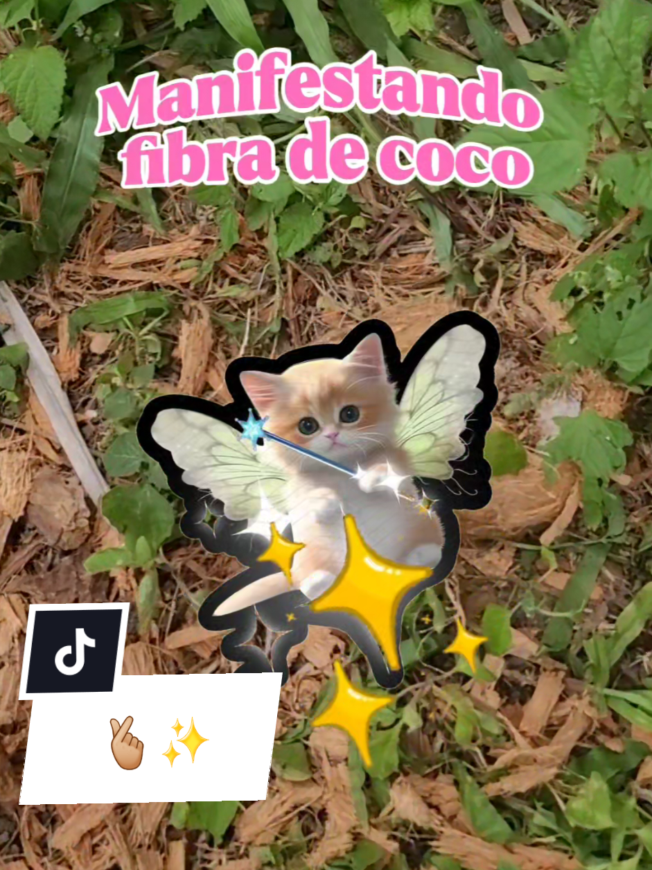 @Plantología🌿