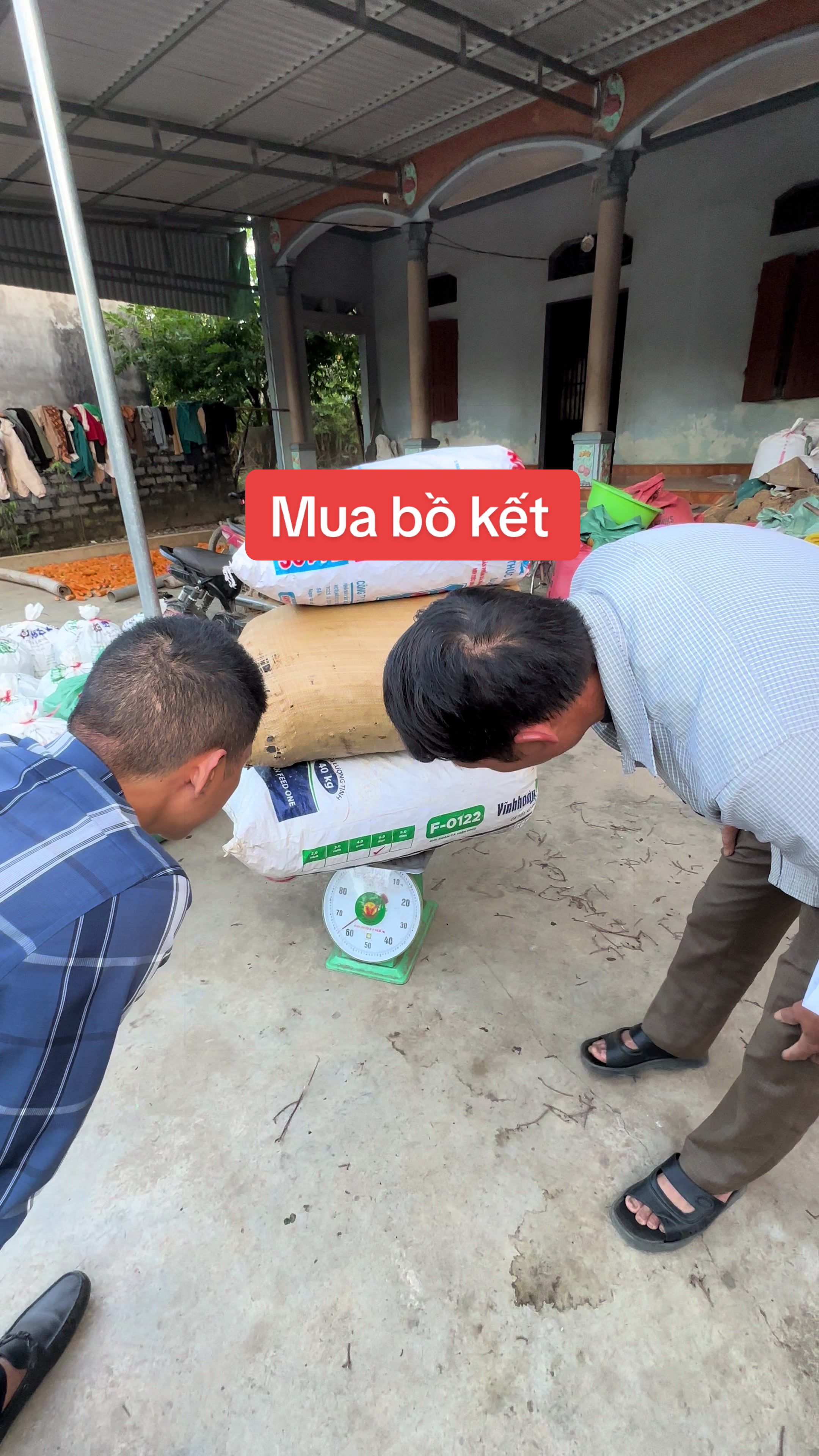 @Nh&agrave; Vườn Vũ Mai
