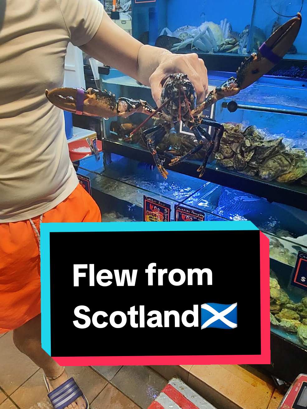 @Live Seafood Supply @ Crabtalk