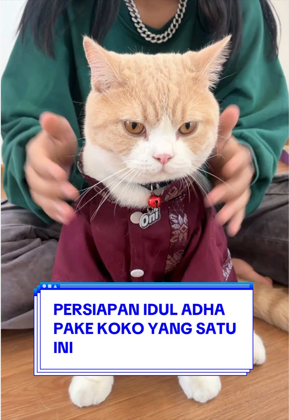 @Pororo Official