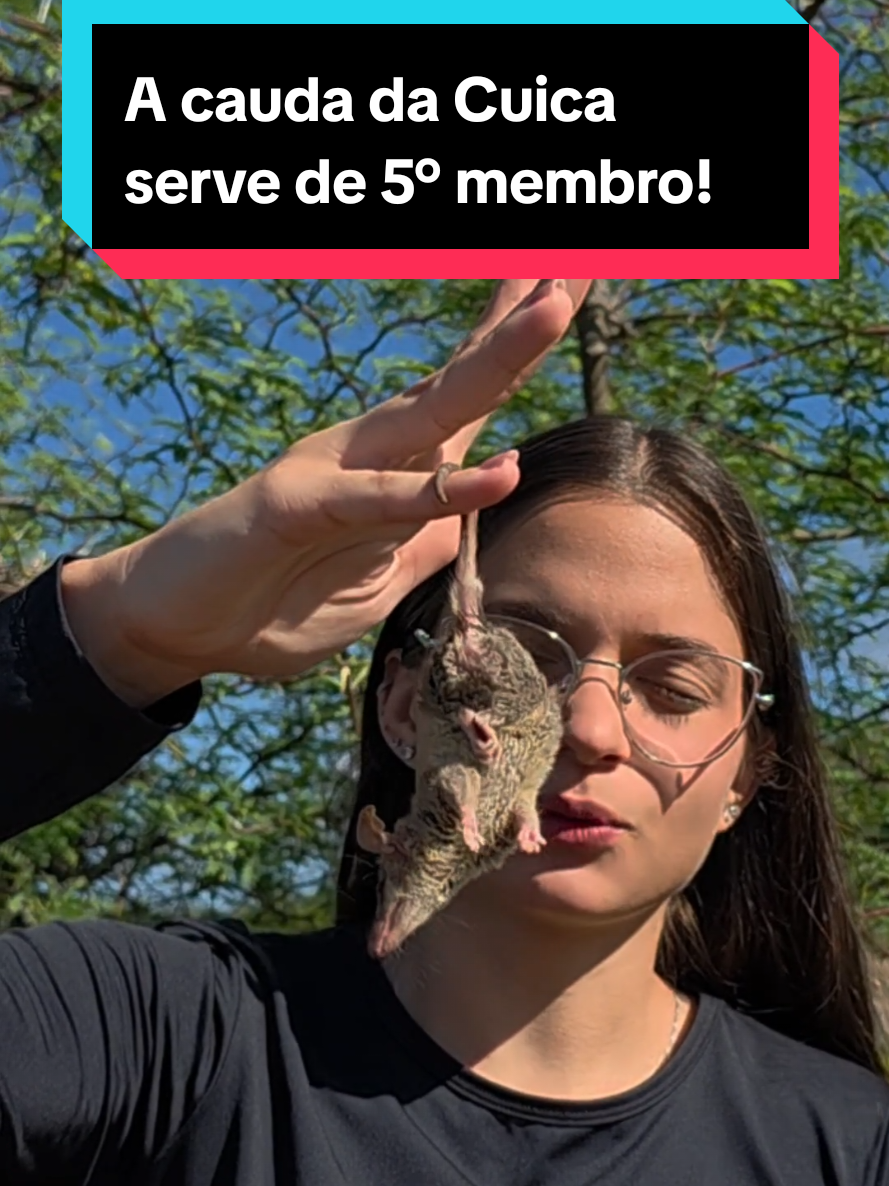 @Princesa das Serpentes