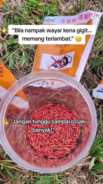 @NORIZARASHID
