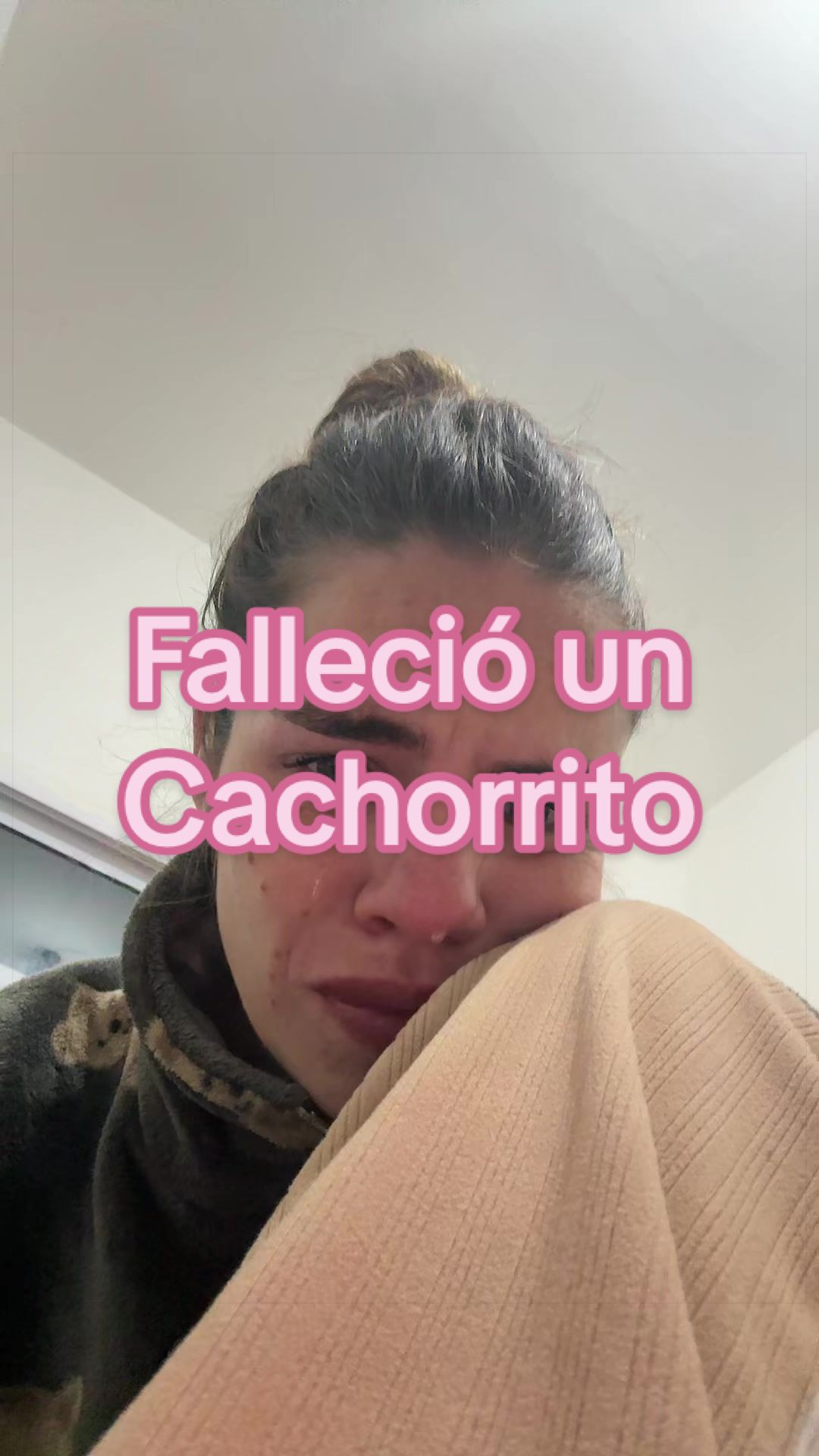 @camilitamelook