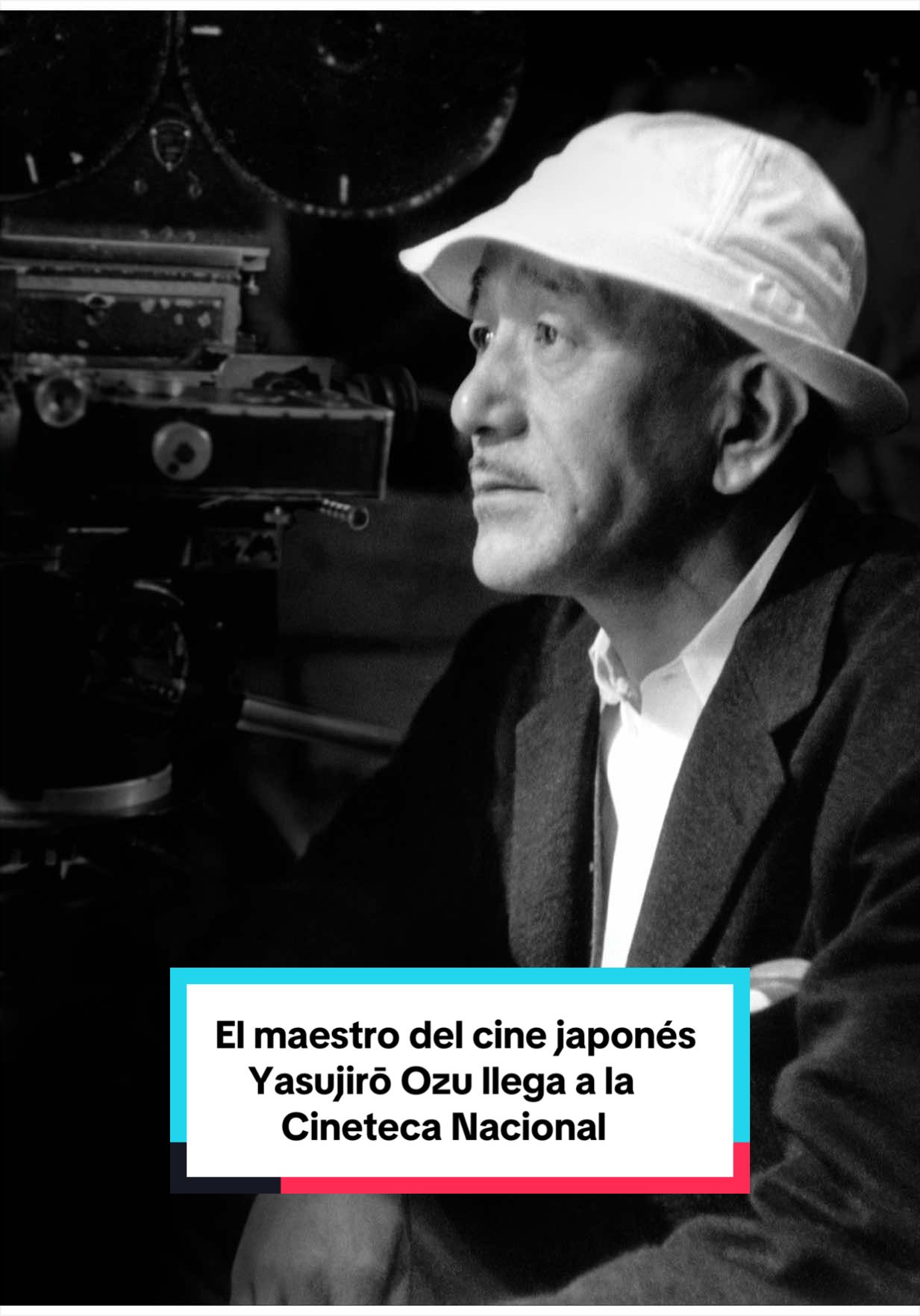 @Secretar&iacute;a de Cultura M&eacute;xico