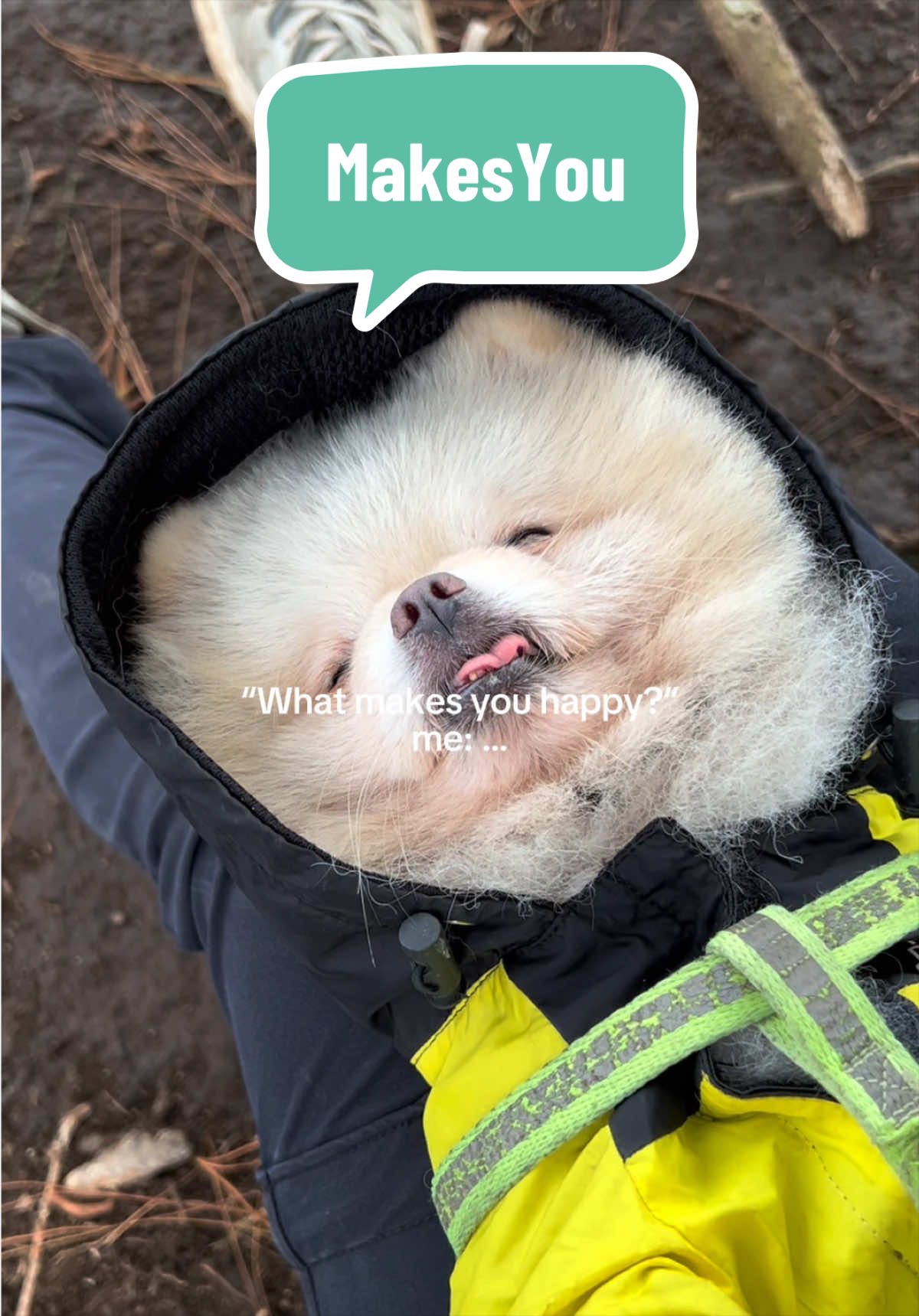 @snowietheexplorer