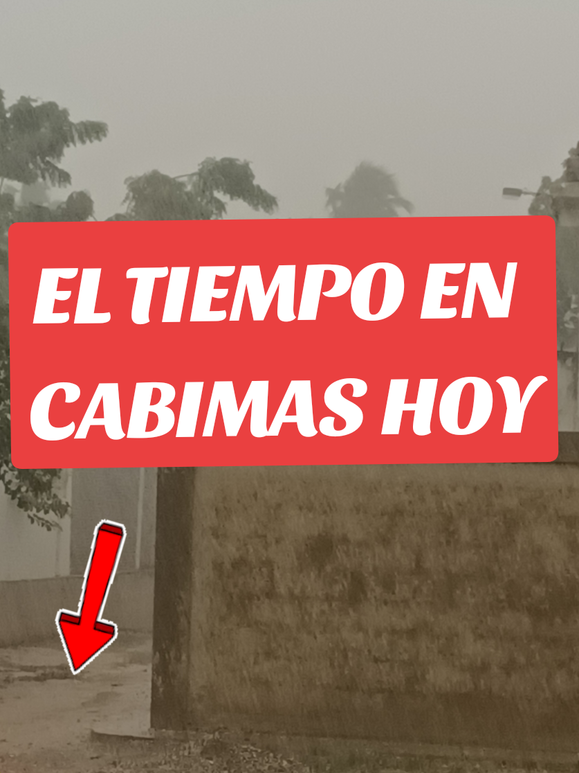 @MIMUNDO1981