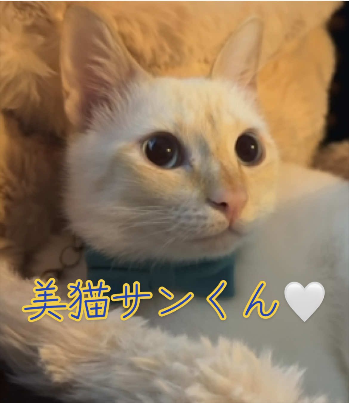 @はっぴー野郎☺︎