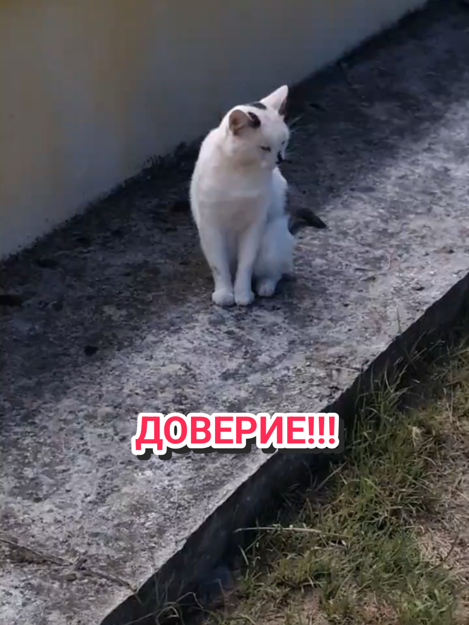 @IRINA