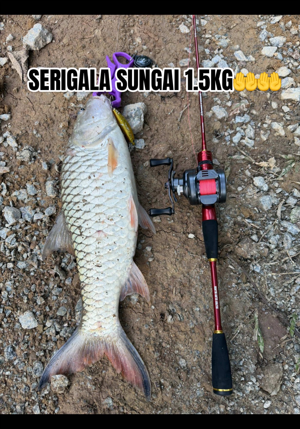 @Epul Tak Kumpau