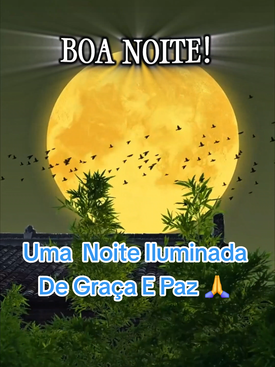 @César A. A. Santos