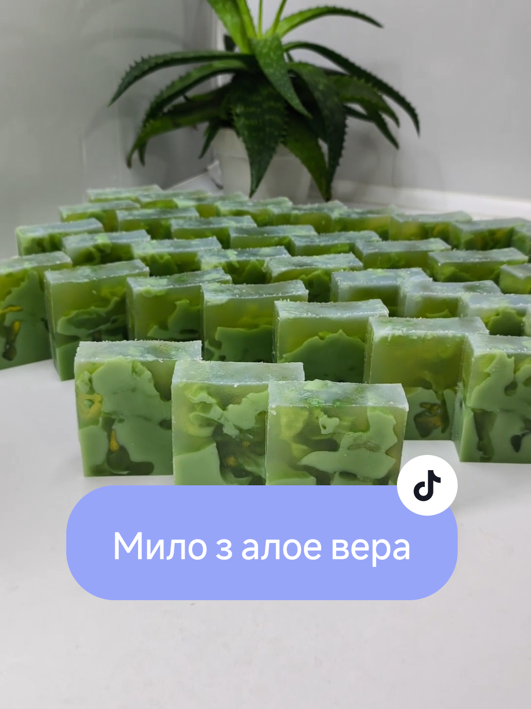 @Savonnierka