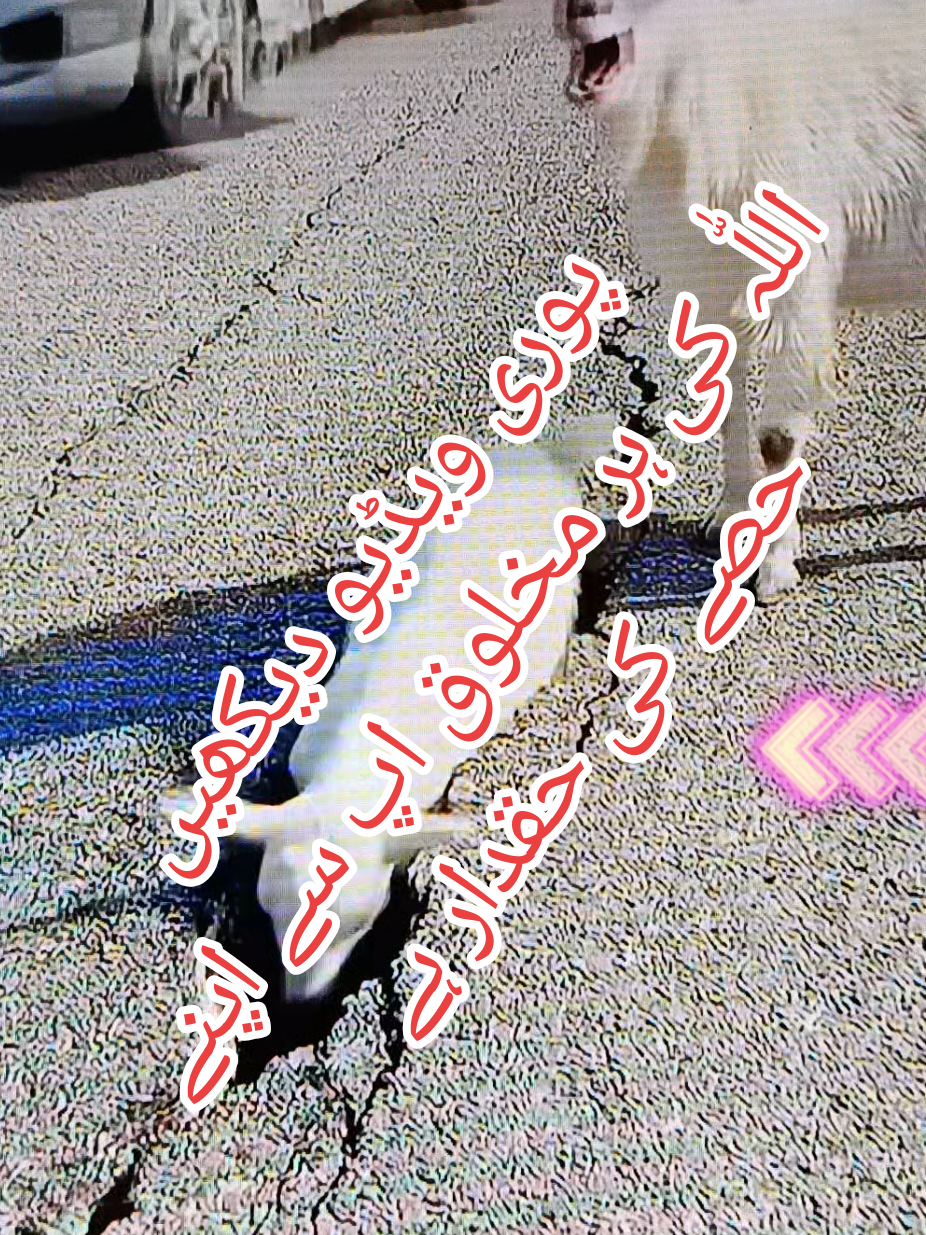 @🌟🇵🇰Gohar_e_Nayab🇵🇰🌟