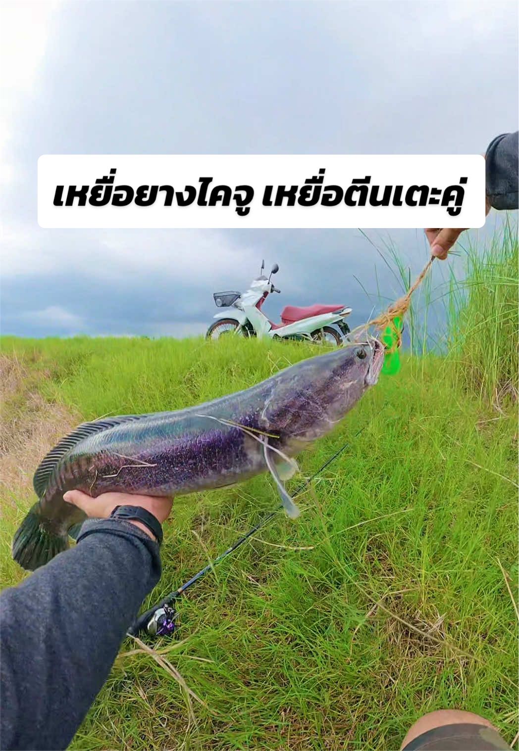 @น้ากอล์ฟ fishing ชอบแต่งรถ