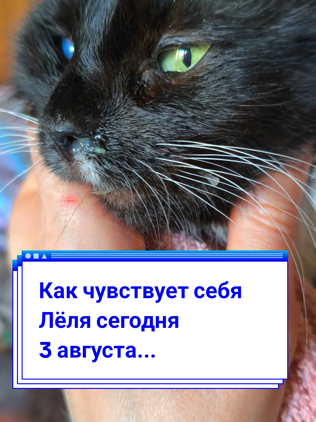 @Elena Barhat