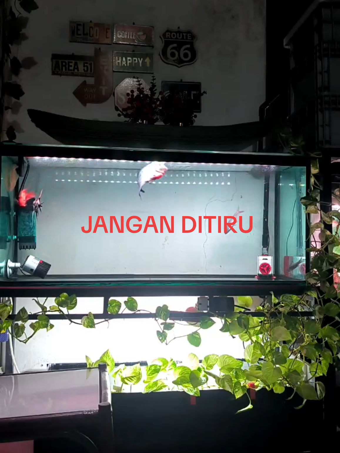 @Punya Namita