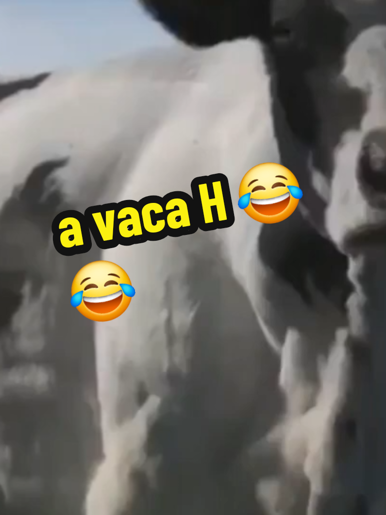 @Andreza Correia de oliveira