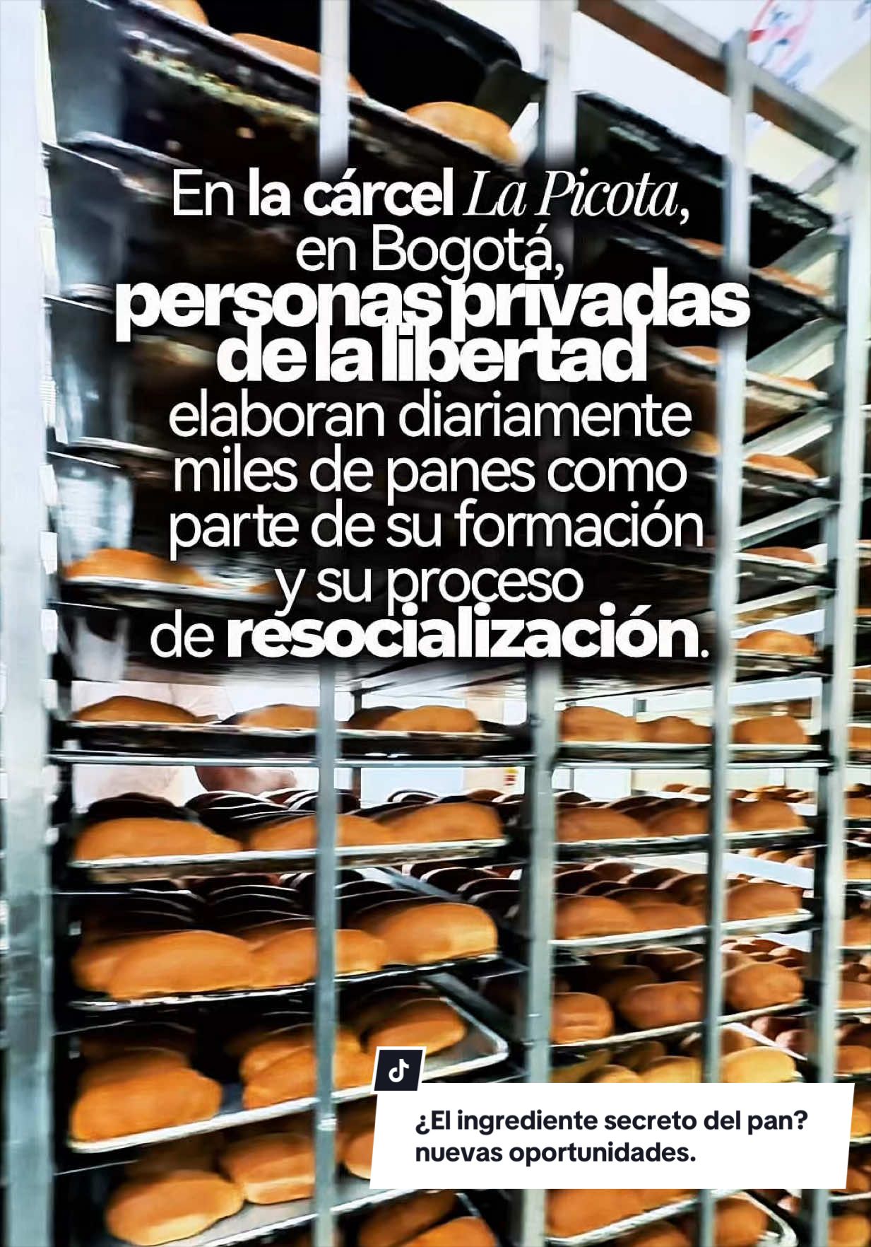 @Ministerio de Justicia