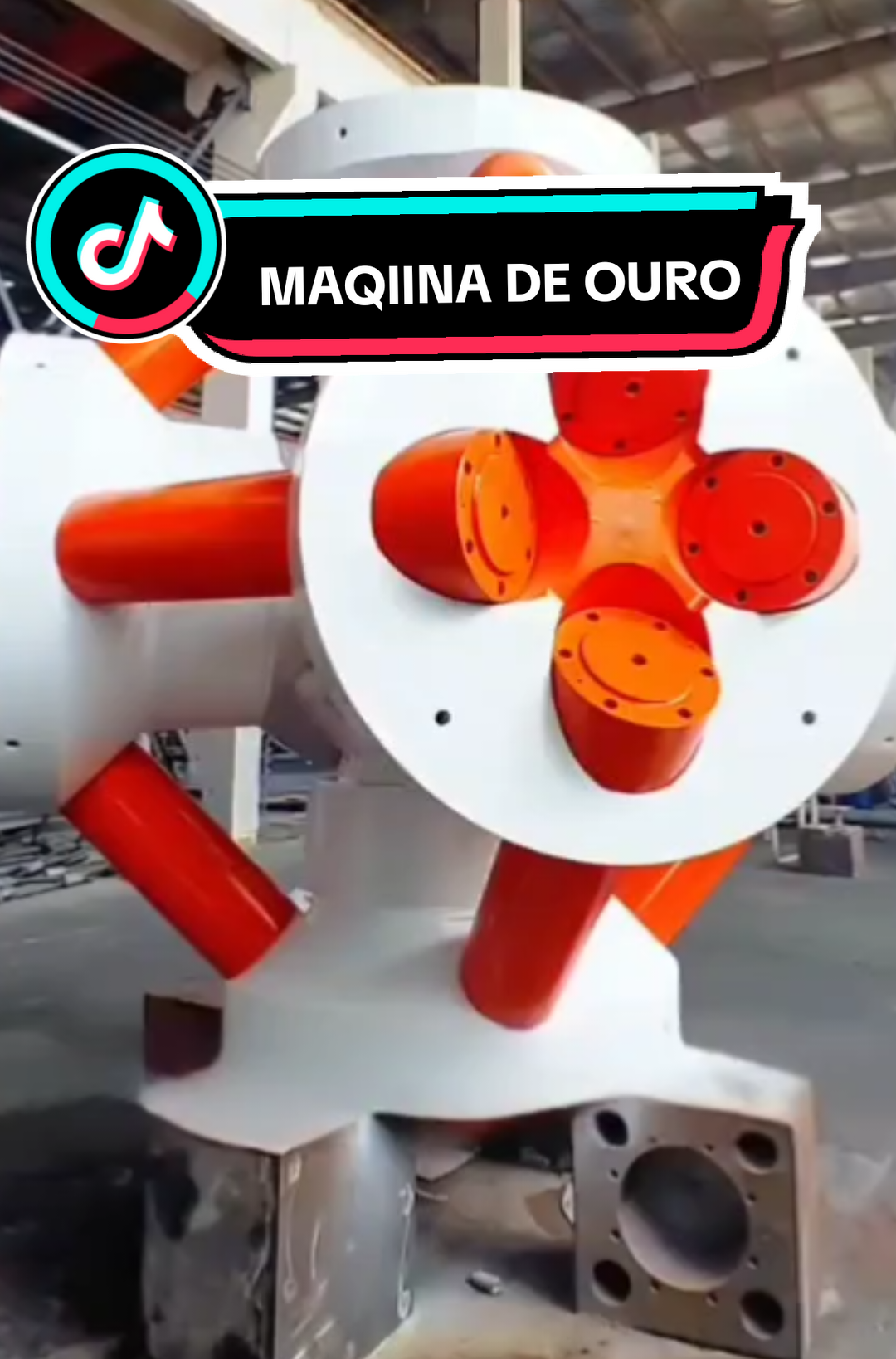 @RAIZ DO SABER