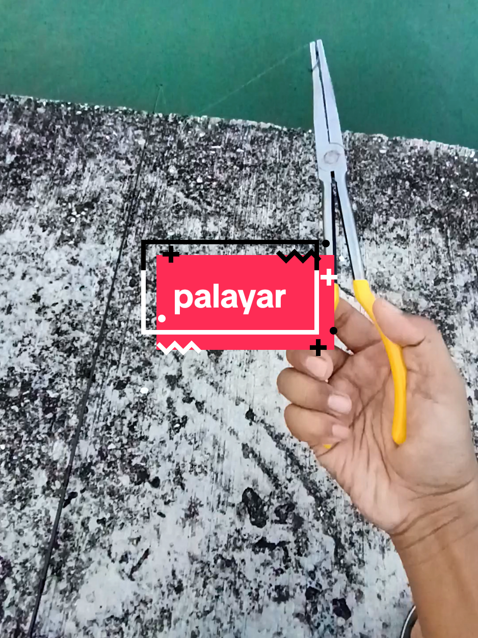 @Pali