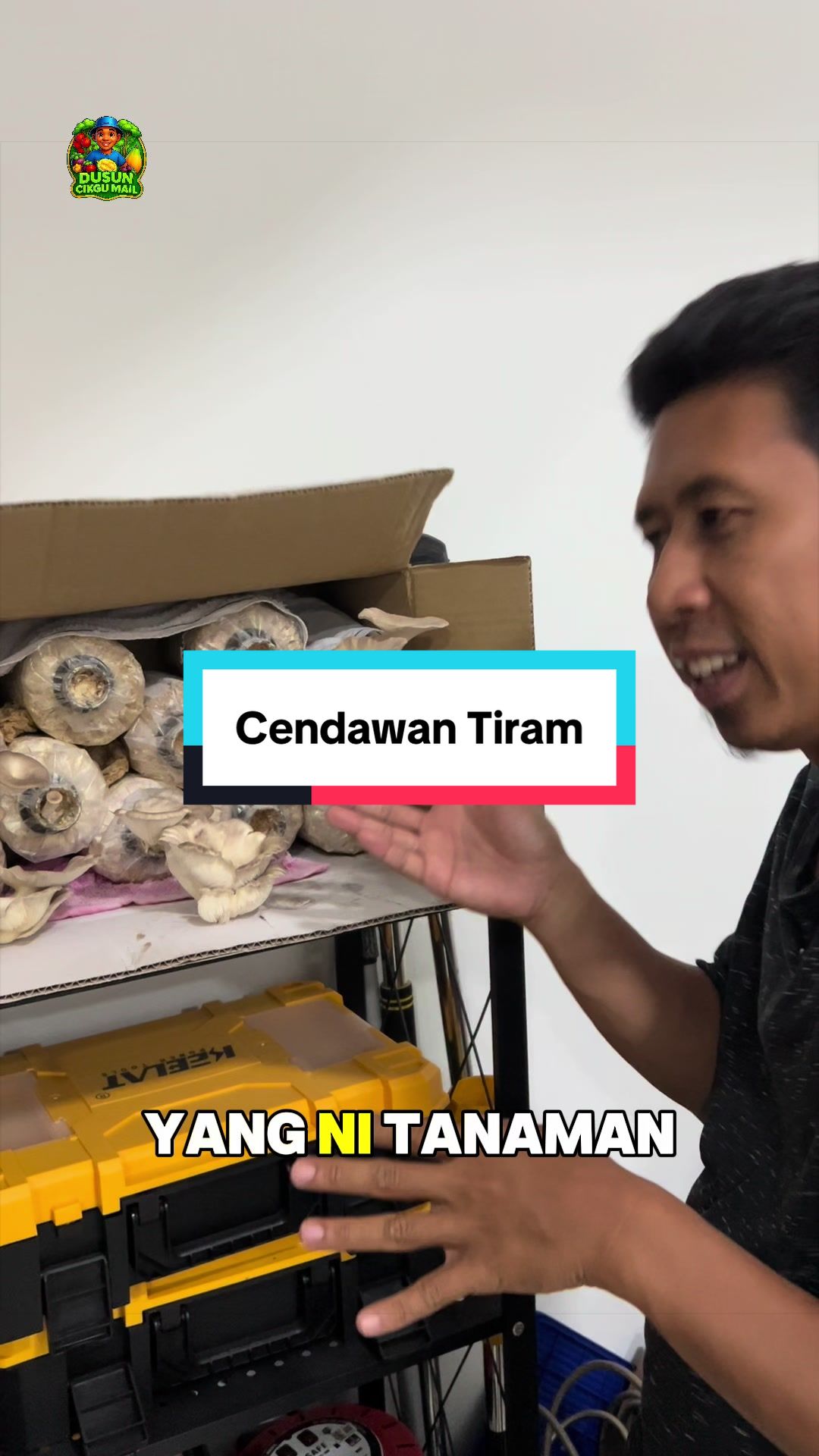 @Dusun Cikgu Mail