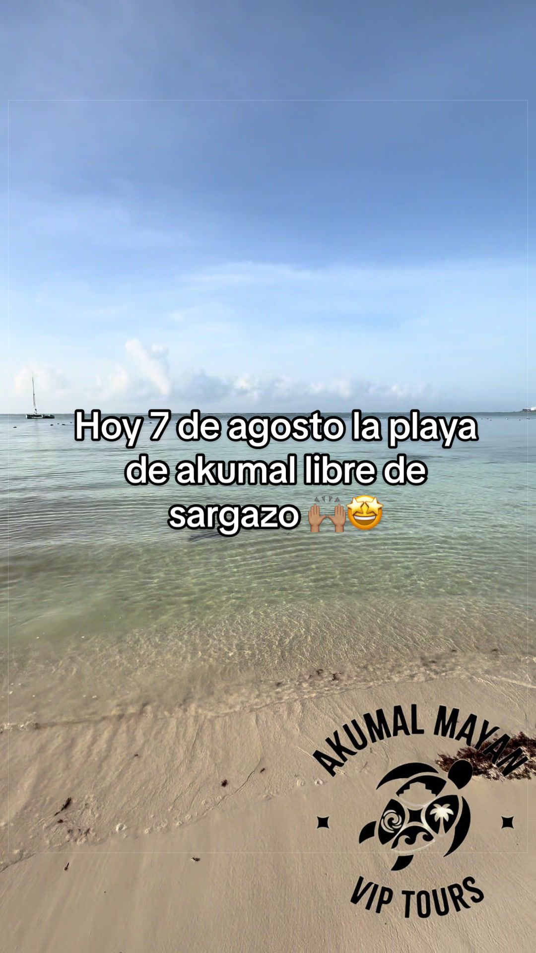 @akumal mayan vip tours