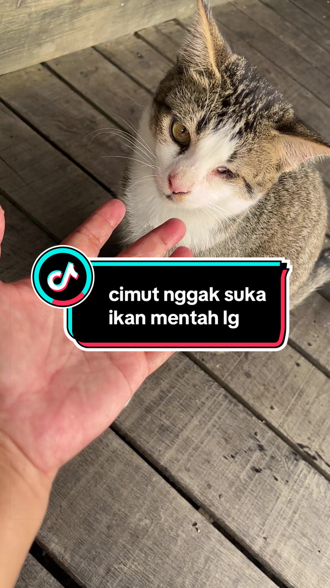 @ALuhh Kudakk