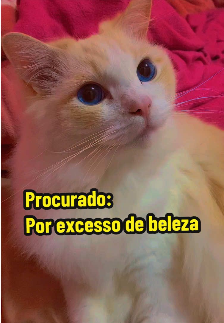 @𝒫𝑒𝓉𝓉𝑒𝓇 ♡