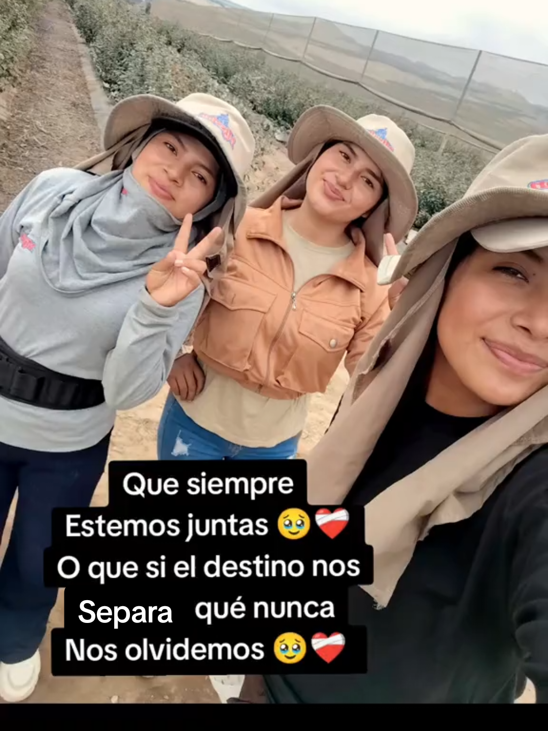 @morenitha🐣🦋🤎