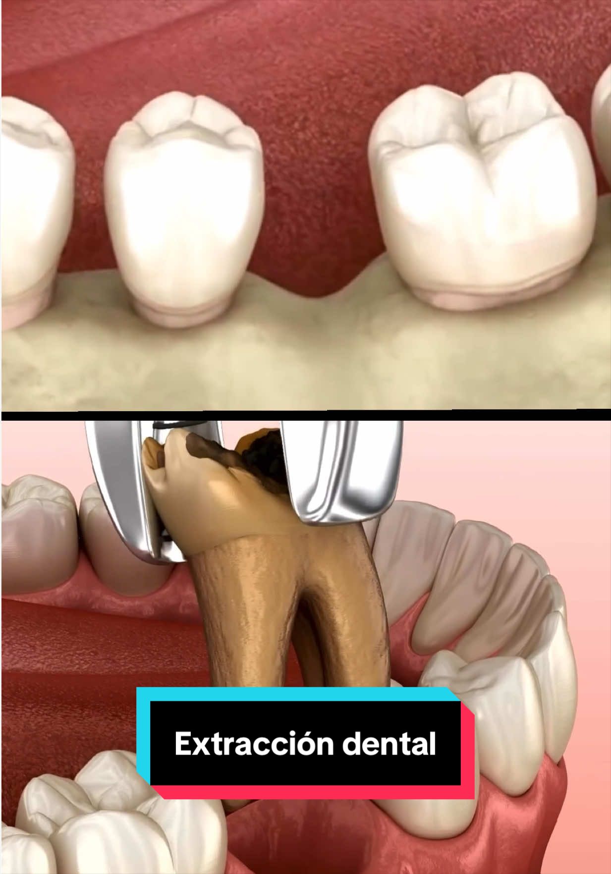 @Clínica Dental Sonrident