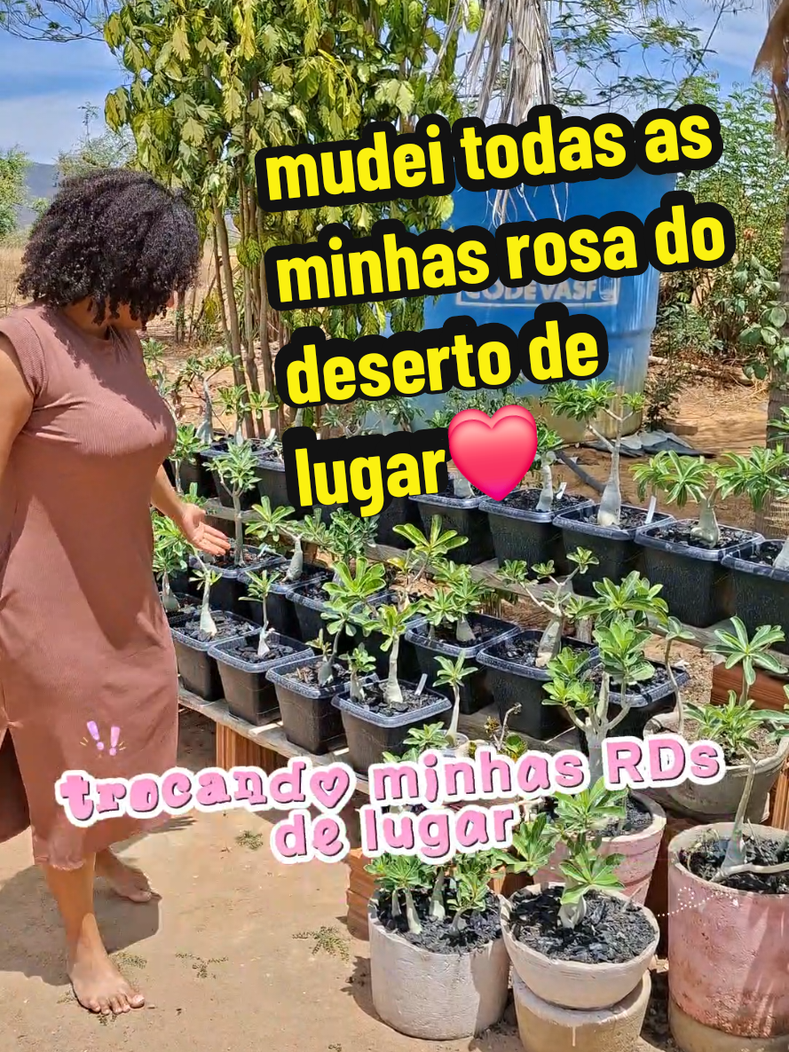 @Maisa Silva ❤️